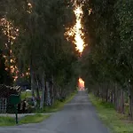 Magnaboschi Alojamento de Turismo Rural *